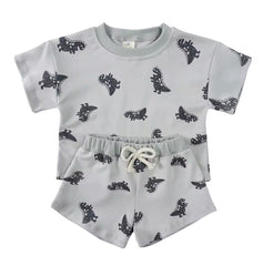 Dinosaur Set