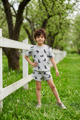 Dinosaur Set