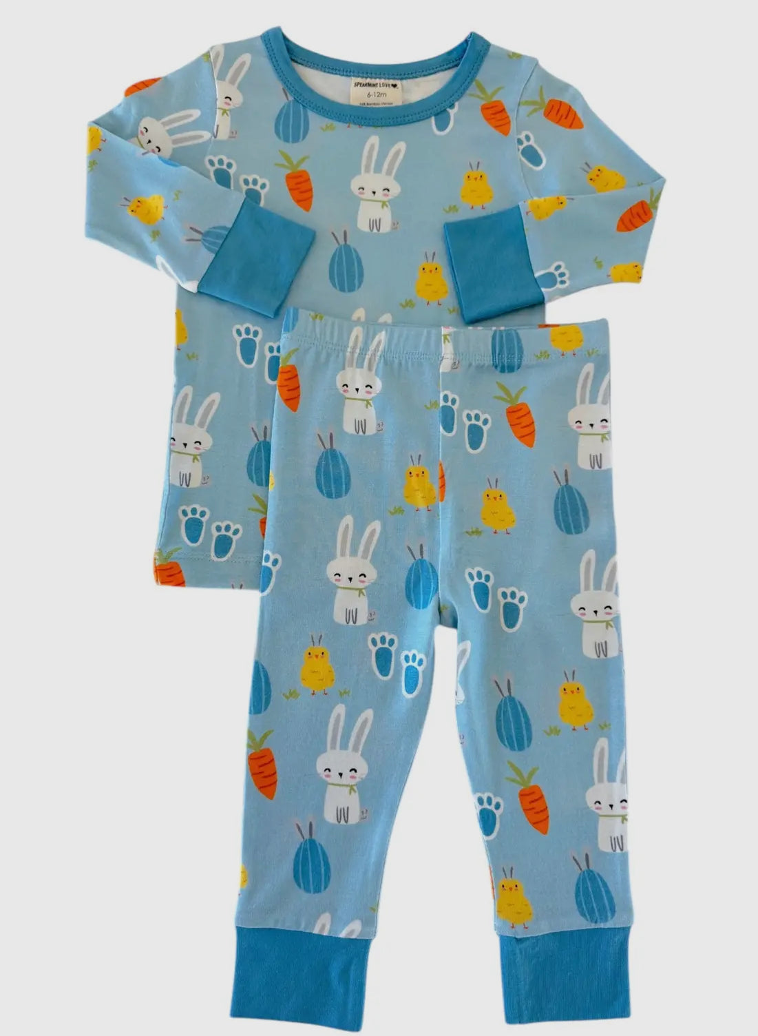 Blue Bunny and Carrots Loungewear Set